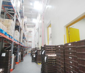 飲料廠 果汁廠 冷凍庫 耐擦洗 防霉內墻涂料,飲料廠 果汁廠 冷凍庫 耐擦洗 防霉內墻涂料生產廠家,飲料廠 果汁廠 冷凍庫 耐擦洗 防霉內墻涂料價格