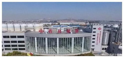 青島啤酒三廠工人竟然在原料倉小便,網(wǎng)友 這啤酒還能喝嗎